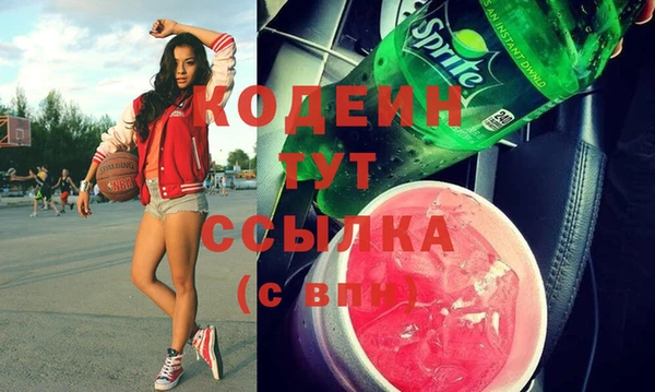 индика Баксан