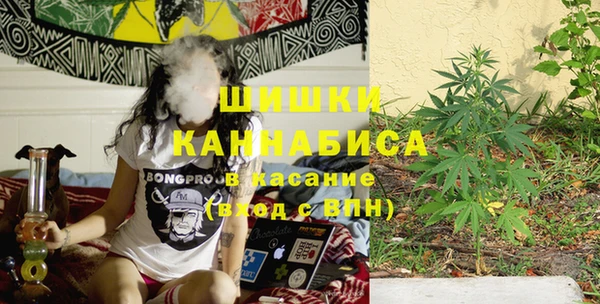 индика Баксан
