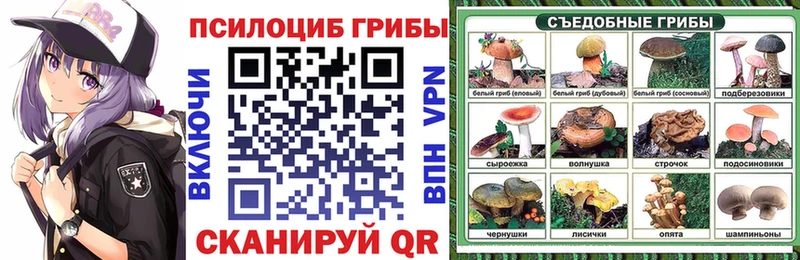 Галлюциногенные грибы Cubensis  Купить  Мурино 