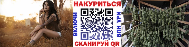 Купить где  Мурино  Бошки марихуана AK-47 